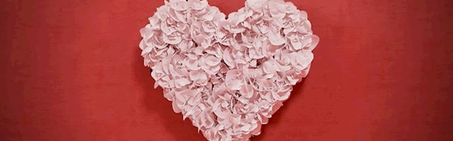 main_ heart